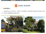 医院动态丨南医七院全力开展“防控蚊媒传染病”爱国卫生行动