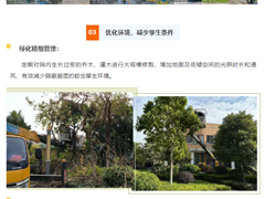 医院动态丨南医七院全力开展“防控蚊媒传染病”爱国卫生行动